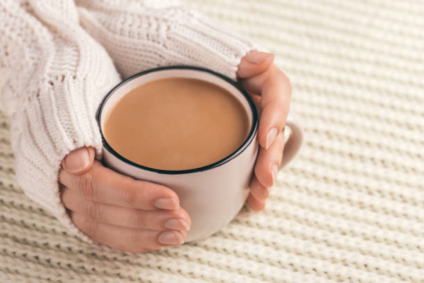 istock Female hands holding cup of hot cocoa 1051220258