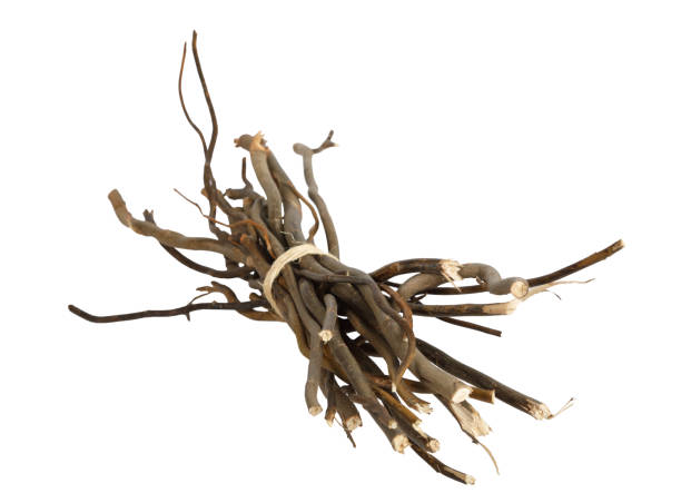 istock Bundle of wooden twigs isolated on white 1051224406