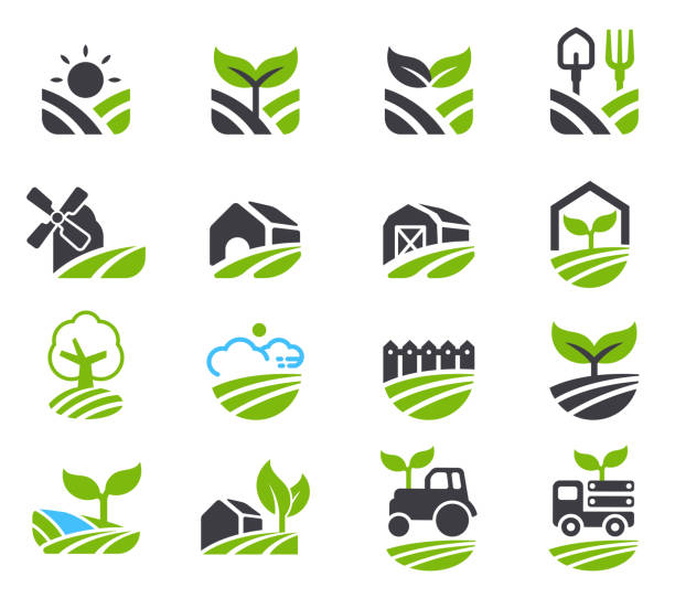 Green fields icon. Green fields icon. Agricultural non-chemical farming and friendly environment. agricultural field stock illustrations