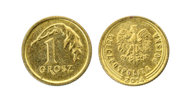 istock Old used one Polish grosz coin isolated on white background. 1051228020