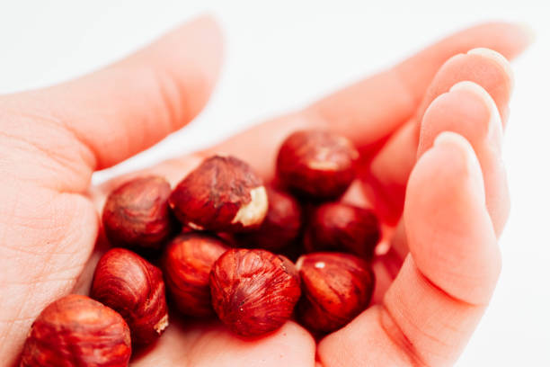 istock A pile of hazelnut hold in a hand, isolated on white background. 1051232720