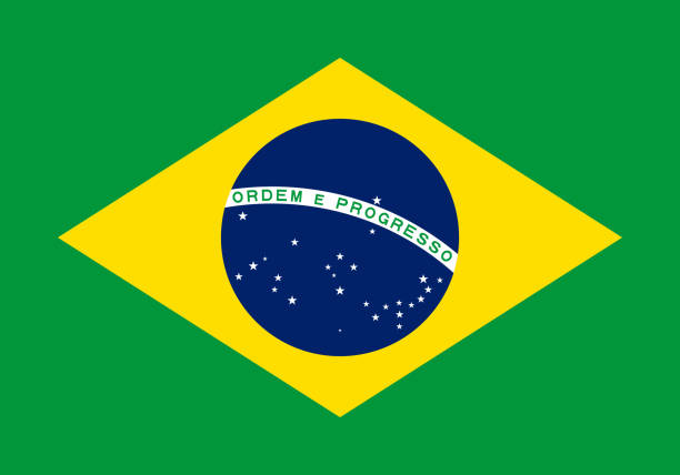 wektor flaga federacyjnej republiki brazylii. proporcja 7:10. flaga brazylii. żółto-zielona flaga. - portuguese language stock illustrations