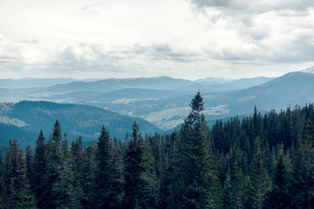 istock landscape in mountains Carpathians Ukraine 1051240156