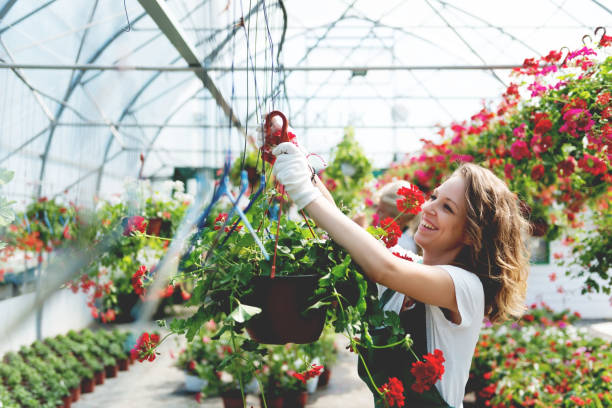 istock Young florist at her job 1051240474