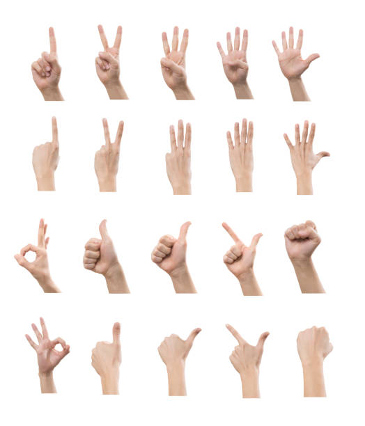 istock Multiple male caucasian hand gestures isolated over the white background, set of multiple images 1051244396
