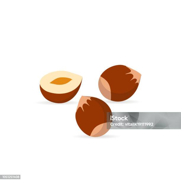 Hazelnut Flat Icon With Shadow On A White Background Stock Illustration - Download Image Now