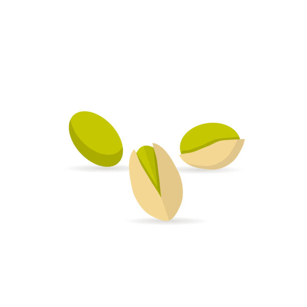 фисташковая плоская икона с тенью на белом фоне - pistachio stock illustrations
