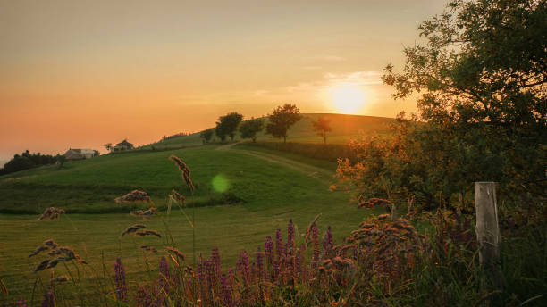 istock sunset over a small farm on a hill. natural summer sunset. 1051252636