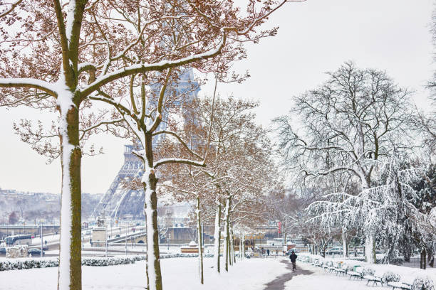 istock Scenic view to the Eiffel tower on a day with heavy snow 1051258912
