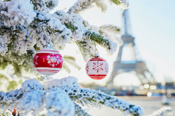 istock Christmas tree covered with snow near Eiffel tower 1051259172