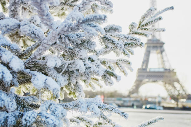 istock Christmas tree covered with snow near Eiffel tower 1051259202