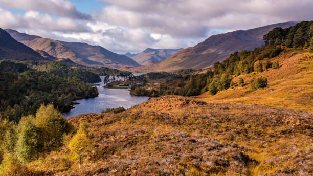 autunno a glen affric - autumn landscape hill tree foto e immagini stock