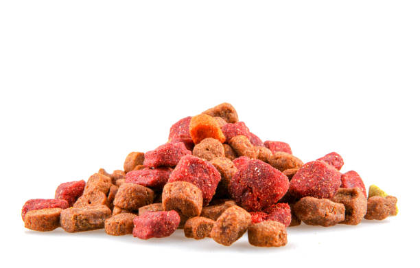 istock Dry dog food 1051272852