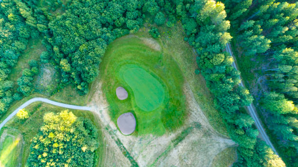 istock Golf green surrounded by sand traps and forest 1051273966