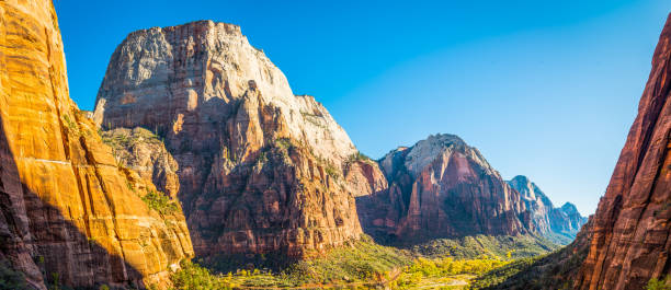 Warm, late afternoon sunlight illuminating the iconic pyramids of Zion National Park, Utah, with the mighty edifice of the Great White Throne (6744ft) overlooking the vibrant fall colors of the Cottonwood trees along the Virgin River canyon in this idyllic natural landscape, Southwest USA.