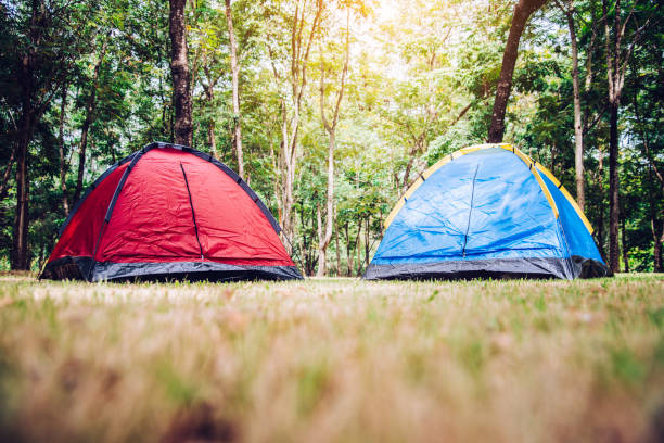 istock Camping and tent under tree in morning sunrise. 1051282038