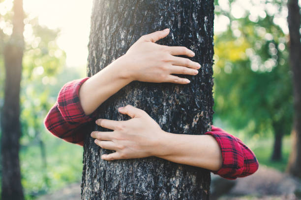 istock Cropped Image Of Hands Embracing Tree Trunk 1051282570