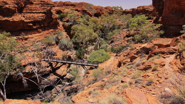istock Kings Canyon NP in Australia 1051288012