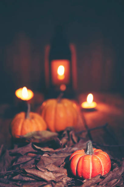 istock Creative picture art in Halloween concept 1051298106