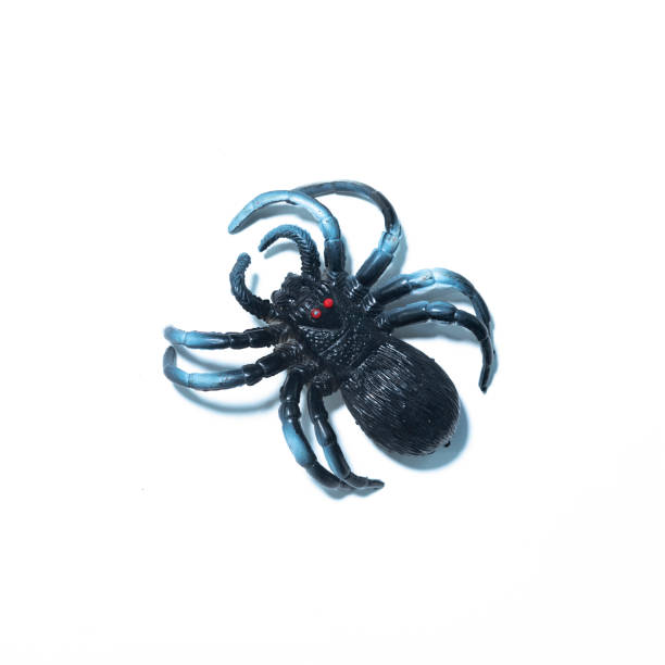 istock Spider fakes for use in Halloween. 1051298228