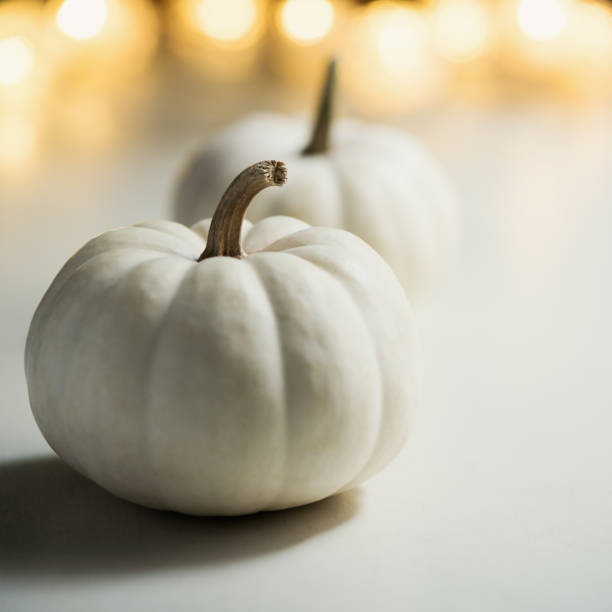 istock Pumpkins or white gourds. Fall or autumn festive background. Thanksgiving. Selective focus, copy space 1051298634