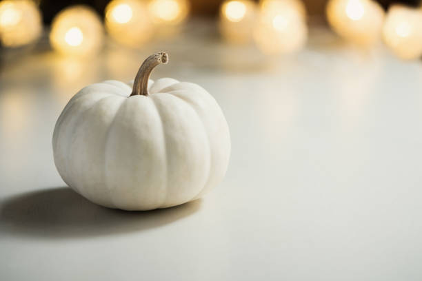 istock Pumpkins or white gourds. Fall or autumn festive background. Thanksgiving. Selective focus, copy space 1051298638