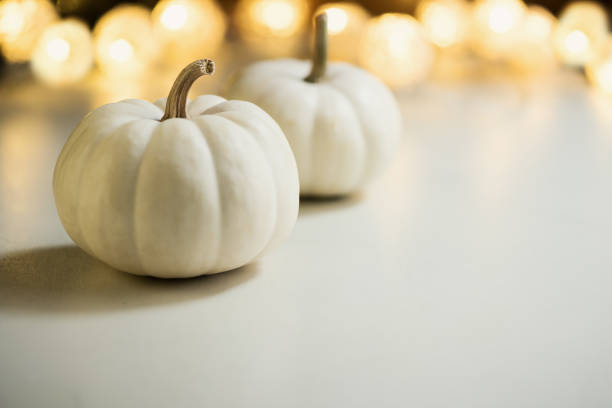 istock Pumpkins or white gourds. Fall or autumn festive background. Thanksgiving. Selective focus, copy space 1051298656
