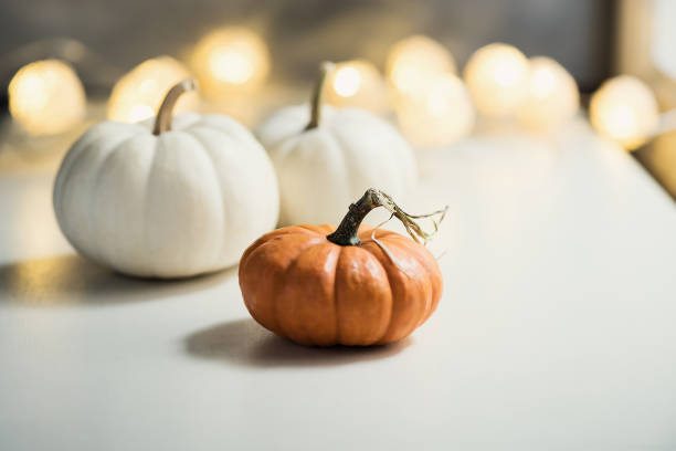 istock Pumpkins or white gourds. Fall or autumn festive background. Thanksgiving. Selective focus, copy space 1051298666