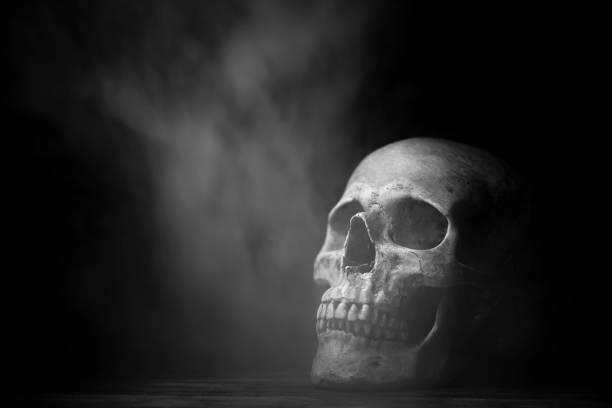 istock art of Human skull, Halloween concept 1051298770