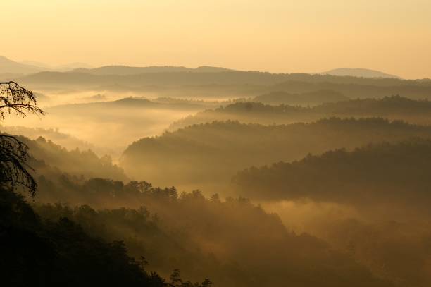istock Sunrise in Cherokee national forest 1051299588