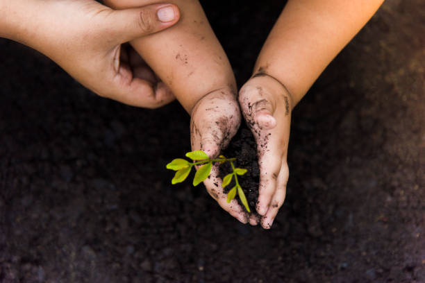 istock Trees with money, saving money and growing hands. 1051309232