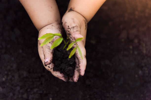 istock Trees with money, saving money and growing hands. 1051309234