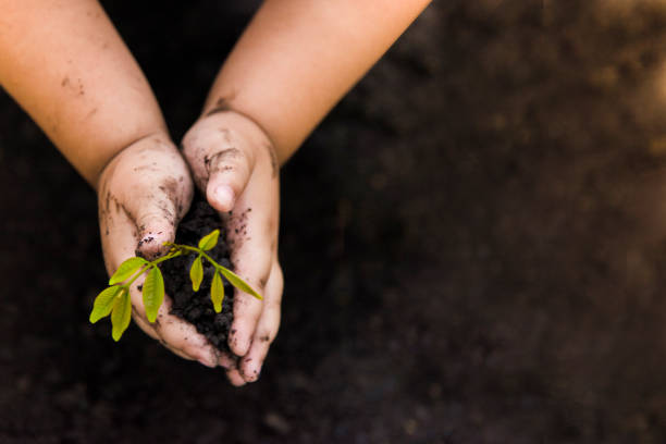 istock Trees with money, saving money and growing hands. 1051309238