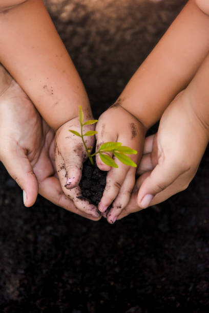 istock Trees with money, saving money and growing hands. 1051309264