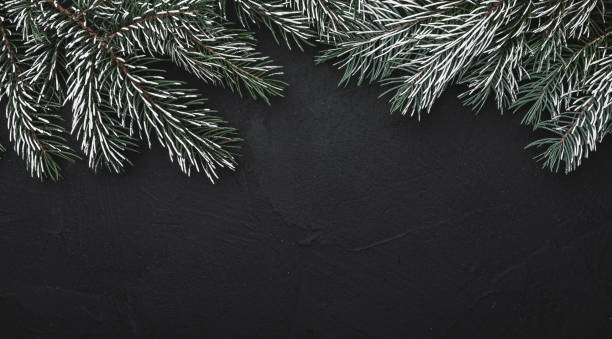 istock Horizontal black stone background with fir branches. Space for text. Top view. 1051322962