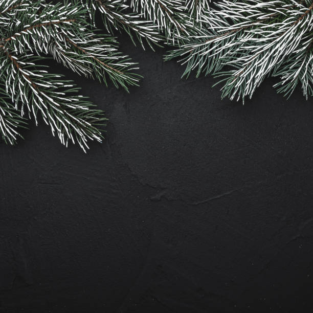 istock Black square stone background with fir branches. Space for text. Top view. 1051323048