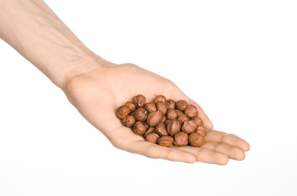istock Nuts and cooking theme: man's hand holding a peeled hazelnuts isolated on a white background in studio 1051333318
