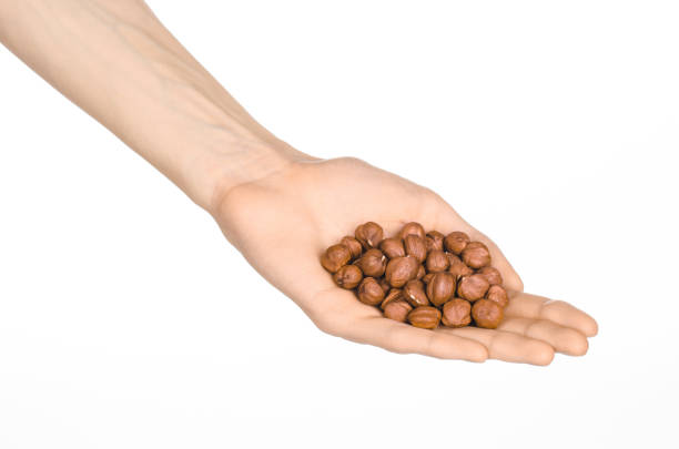 istock Nuts and cooking theme: man's hand holding a peeled hazelnuts isolated on a white background in studio 1051335136