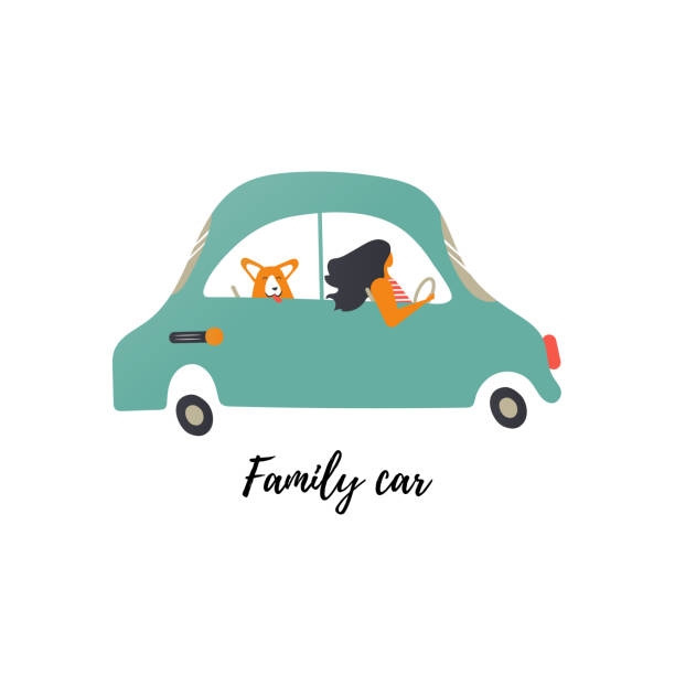 illustrazioni stock, clip art, cartoni animati e icone di tendenza di una donna con corgi in un'auto di famiglia sta per guidare lungo la strada. - dog car