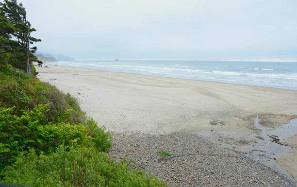 istock Arcadia Beach Overlook - Oregon North Coast 1051341824