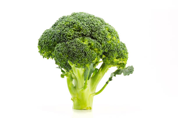 istock Fresh single ripe broccoli isolated on white background 1051342366