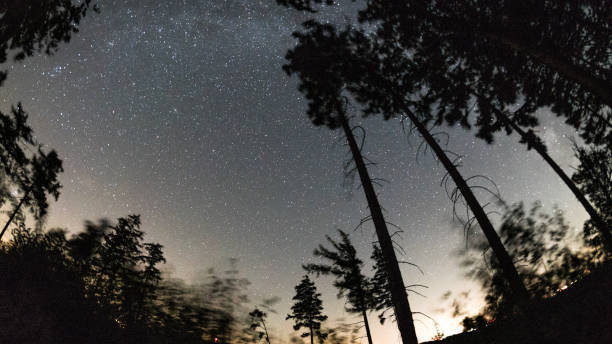 istock Starry sky in the Teutoburg Forest 1051346380