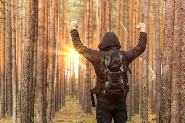 istock Backpacker traveler with backpack raised his hands up. Survival scene in the forest. Sunrise in pine forest. Copy space. 1051347506
