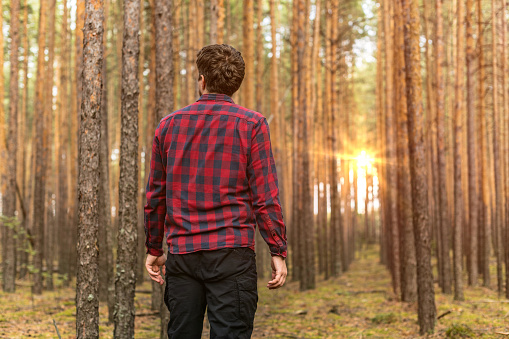 Man in red plaid shirt and black military pants lost in the pine forest. Copy space