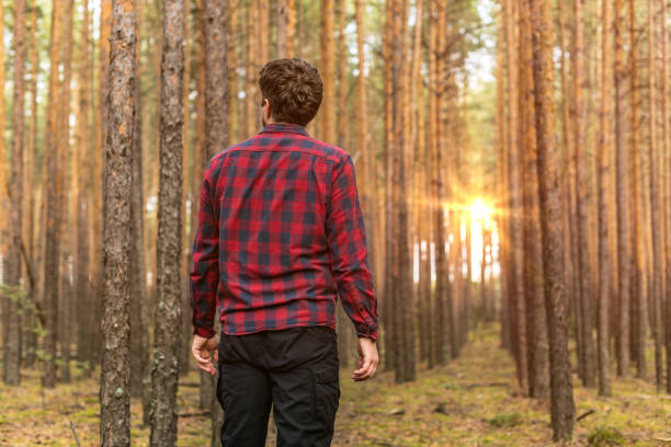mężczyzna w czerwonej koszuli w kratę i czarnych spodniach wojskowych zagubiony w sosnowym lesie. kopiuj miejsce - discovery forest lost confusion zdjęcia i obrazy z banku zdjęć