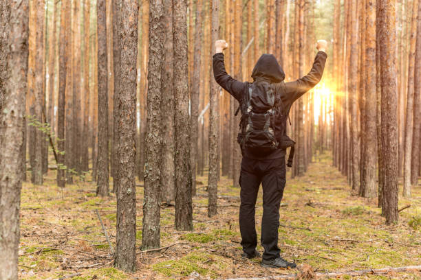 istock Backpacker traveler with backpack raised his hands up. Survival scene in the forest. Sunrise in pine forest. Copy space. 1051349330