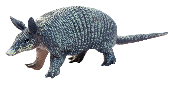 It’s a mammal! Toy armadillo. Front and side view. Isolated.