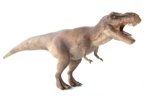 istock Tyrannosaurus Res 1051356470