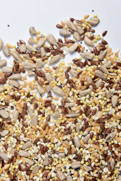 istock close up of a texture multigrain 1051361768