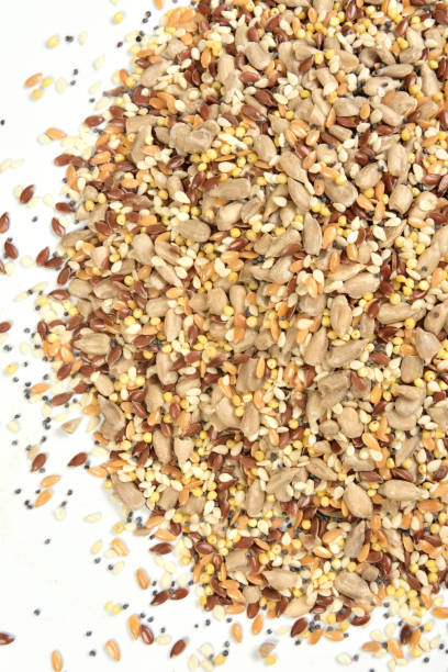 istock close up of a texture multigrain 1051362558